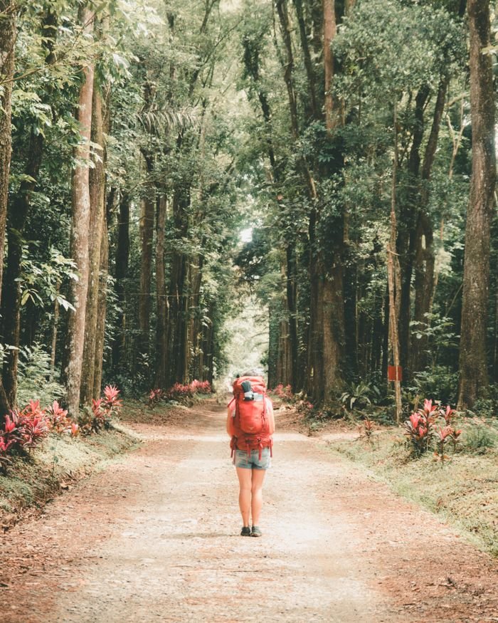 Woman hiking through a forest path, surrounded by lush greenery and tall trees.